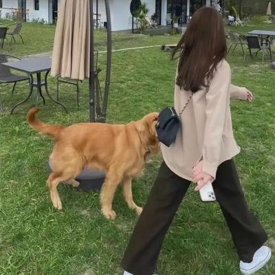 铁血战狼